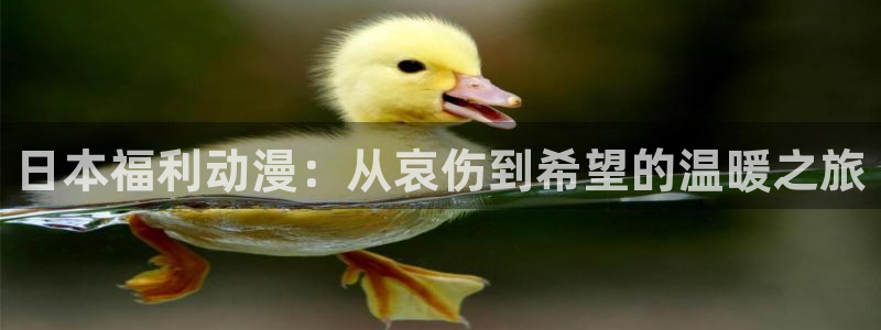 风车漫画下载免费下载：日本福利动漫：从哀伤到希望的温暖之旅