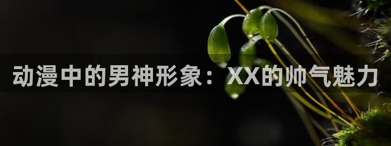 masterpiece风车动漫完整版在线：动漫中的男神形象：XX的帅气魅力