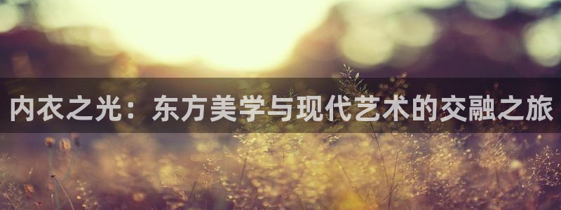 风车漫画下载免费：内衣之光：东方美学与现代艺术的交融之旅